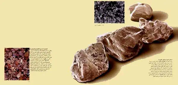 http://oloommagazine.com/images/Articles/13/SCI97b13N1_H01_006585.jpg