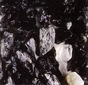 http://oloommagazine.com/images/Articles/13/SCI97b13N1_H01_006597.jpg