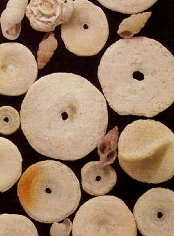 http://oloommagazine.com/images/Articles/13/SCI97b13N1_H01_006611.jpg