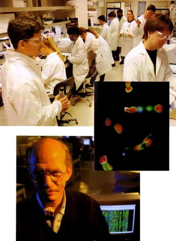 http://oloommagazine.com/images/Articles/13/SCI97b13N1_H02_006613.jpg