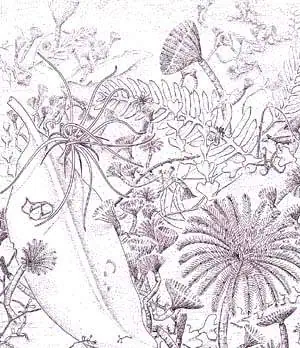 http://oloommagazine.com/images/Articles/13/SCI97b13N6-7_H04_007087.jpg