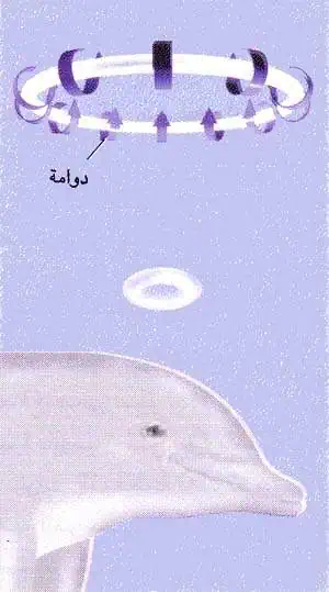 http://oloommagazine.com/images/Articles/13/SCI97b13N3_H05_006789.jpg