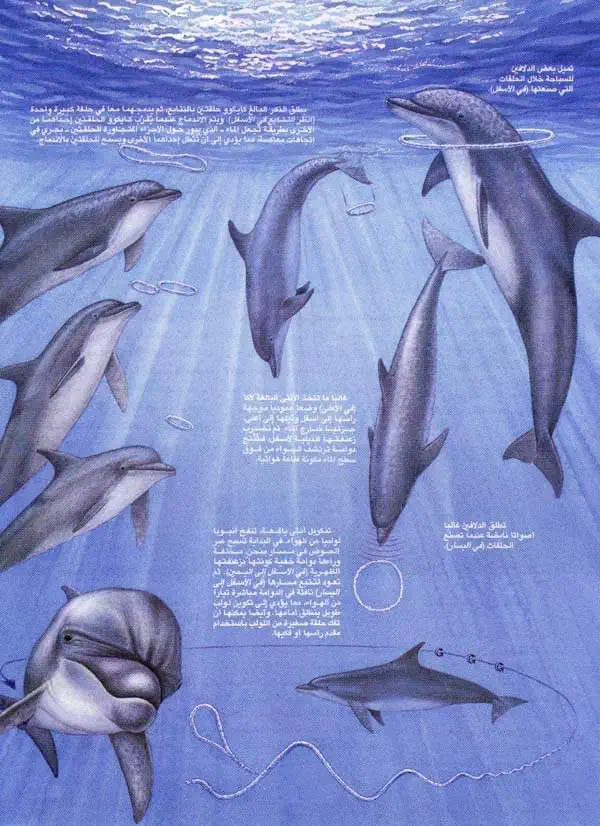http://oloommagazine.com/images/Articles/13/SCI97b13N3_H05_006790.jpg