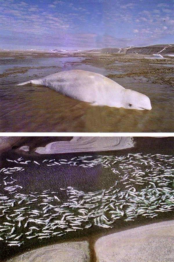 http://oloommagazine.com/images/Articles/13/SCI97b13N3_H02_006776.jpg