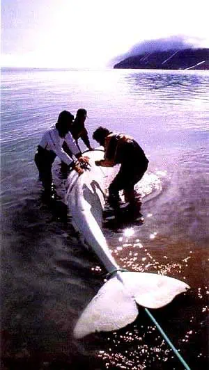 http://oloommagazine.com/images/Articles/13/SCI97b13N3_H02_006777.jpg