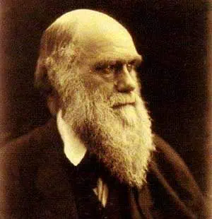 http://oloommagazine.com/images/Articles/13/SCI97b13N5_H02_006968.jpg
