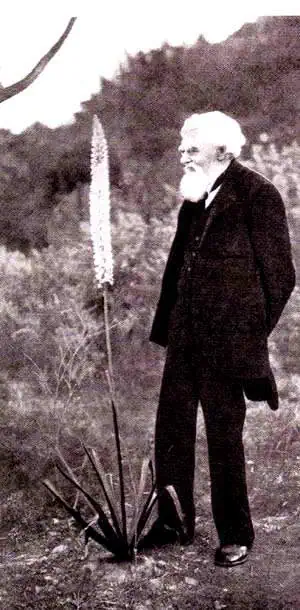 http://oloommagazine.com/images/Articles/13/SCI97b13N5_H02_006973.jpg