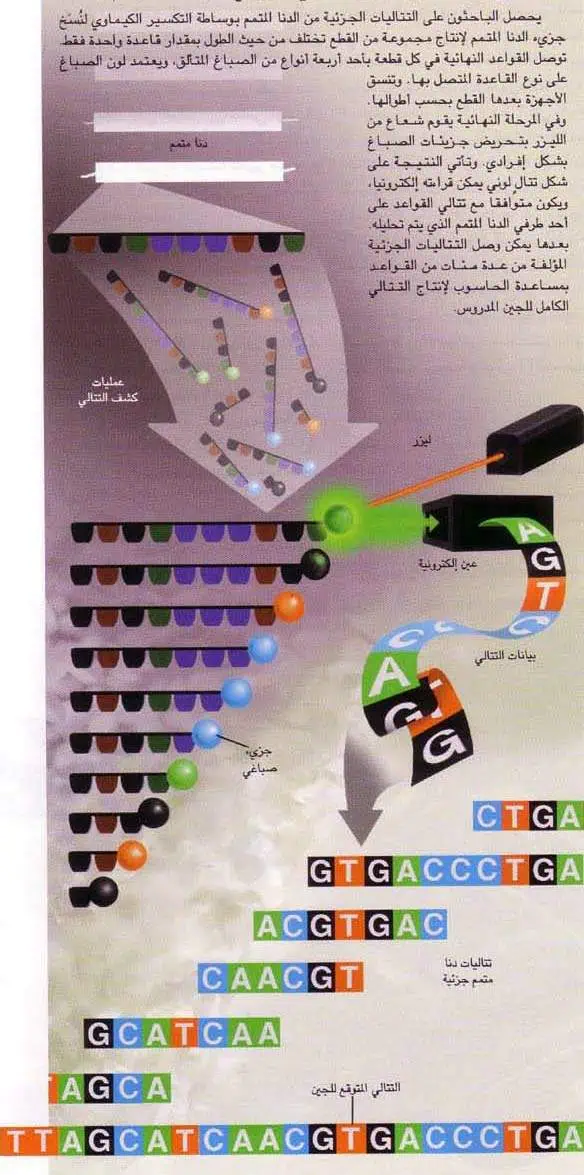 http://oloommagazine.com/images/Articles/13/SCI97b13N5_H05_006990.jpg
