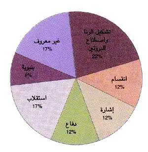 http://oloommagazine.com/images/Articles/13/SCI97b13N5_H05_006991.jpg