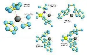 http://oloommagazine.com/images/Articles/13/SCI97b13N5_H01_006965.jpg