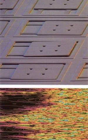 http://oloommagazine.com/images/Articles/13/SCI97b13N12_H05_006527.jpg