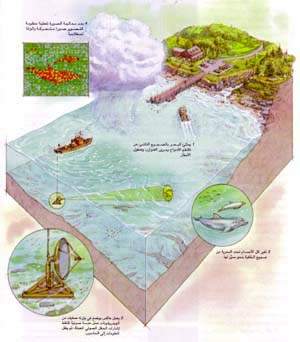 http://oloommagazine.com/images/Articles/13/SCI97b13N11_H05_006441.jpg