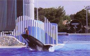 http://oloommagazine.com/images/Articles/13/SCI97b13N11_H05_006442.jpg