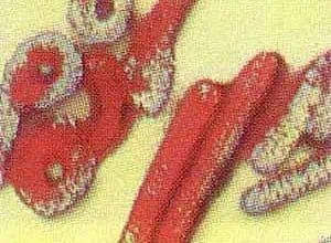 http://oloommagazine.com/images/Articles/13/SCI97b13N11_H01_006419.jpg