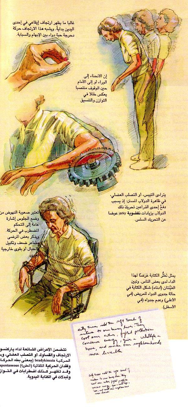 http://oloommagazine.com/images/Articles/13/SCI97b13N11_H04_006436.jpg