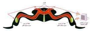 http://oloommagazine.com/images/Articles/13/SCI97b13N10_H01_006329.jpg