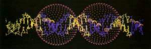 http://oloommagazine.com/images/Articles/13/SCI97b13N10_H04_006347.jpg