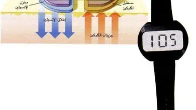 http://oloommagazine.com/images/Articles/14/SCI98b14N5_H03_007855.jpg