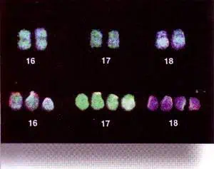 http://oloommagazine.com/images/Articles/14/SCI98b14N1-2_H02_007269.jpg
