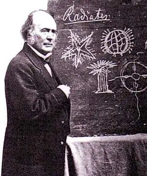 http://oloommagazine.com/images/Articles/14/SCI98b14N5_H01_007841.jpg