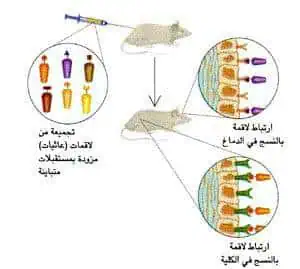 http://oloommagazine.com/images/Articles/14/SCI98b14N1-2_H03_007276.jpg