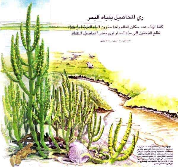 http://oloommagazine.com/images/Articles/14/SCI98b14N10_H01_007384.jpg