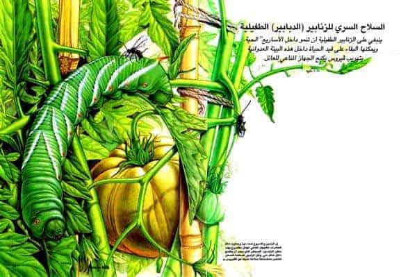 http://oloommagazine.com/images/Articles/14/SCI98b14N10_H03_007396.jpg