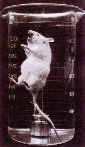 http://oloommagazine.com/images/Articles/14/SCI98b14N10_H02_007395.jpg