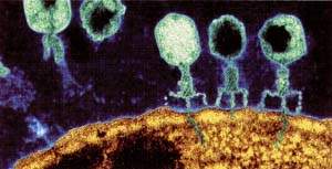 http://oloommagazine.com/images/Articles/14/SCI98b14N8-9_H03_008067.jpg