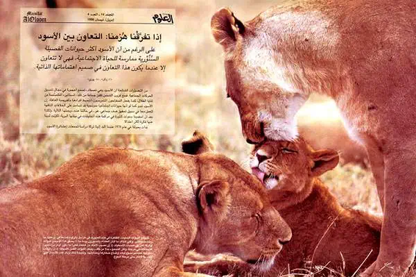 http://oloommagazine.com/images/Articles/14/SCI98b14N4_H01_007733.jpg