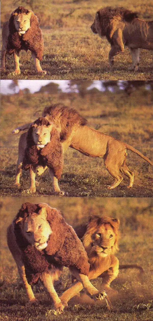 http://oloommagazine.com/images/Articles/14/SCI98b14N4_H01_007736.jpg
