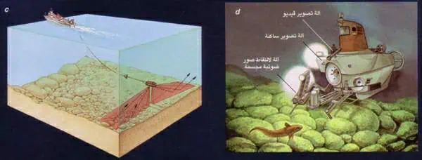 http://oloommagazine.com/images/Articles/14/SCI98b14N4_H03_007758.jpg