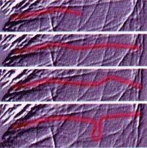 http://oloommagazine.com/images/Articles/14/SCI98b14N6-7_H03_007957.jpg