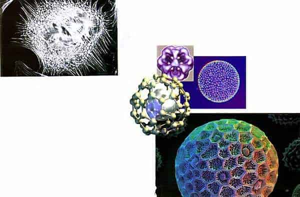 http://oloommagazine.com/images/Articles/14/SCI98b14N6-7_H03_007960.jpg