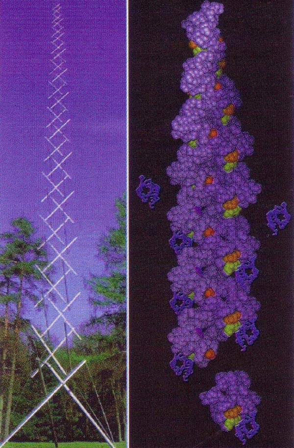 http://oloommagazine.com/images/Articles/14/SCI98b14N6-7_H03_007963.jpg