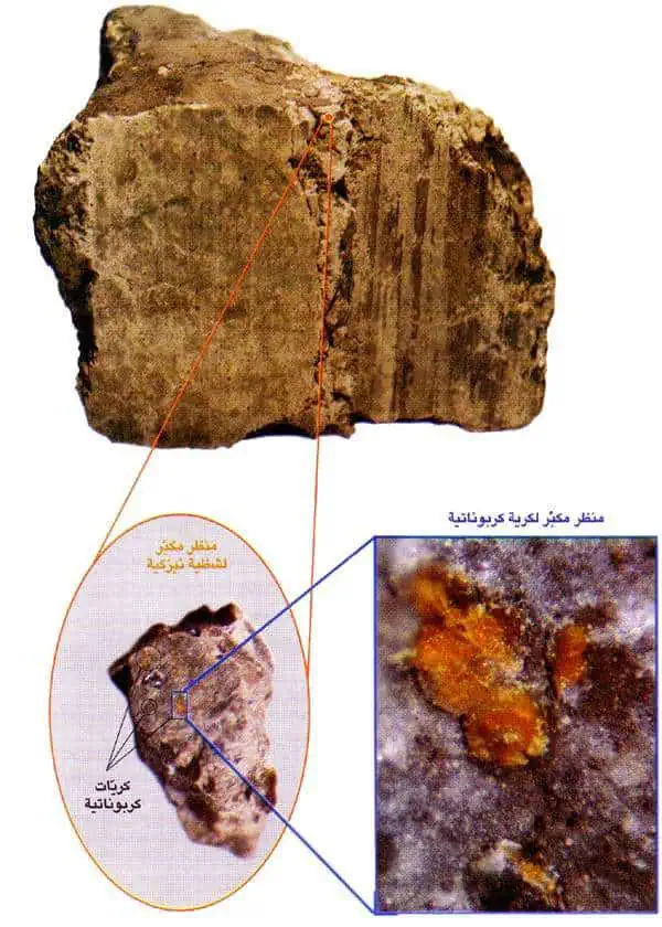 http://oloommagazine.com/images/Articles/14/SCI98b14N6-7_H01_007940.jpg