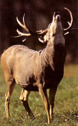 http://oloommagazine.com/images/Articles/14/SCI98b14N12_H01_007559.jpg