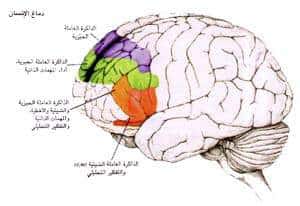 http://oloommagazine.com/images/Articles/14/SCI98b14N5_H02_007848.jpg