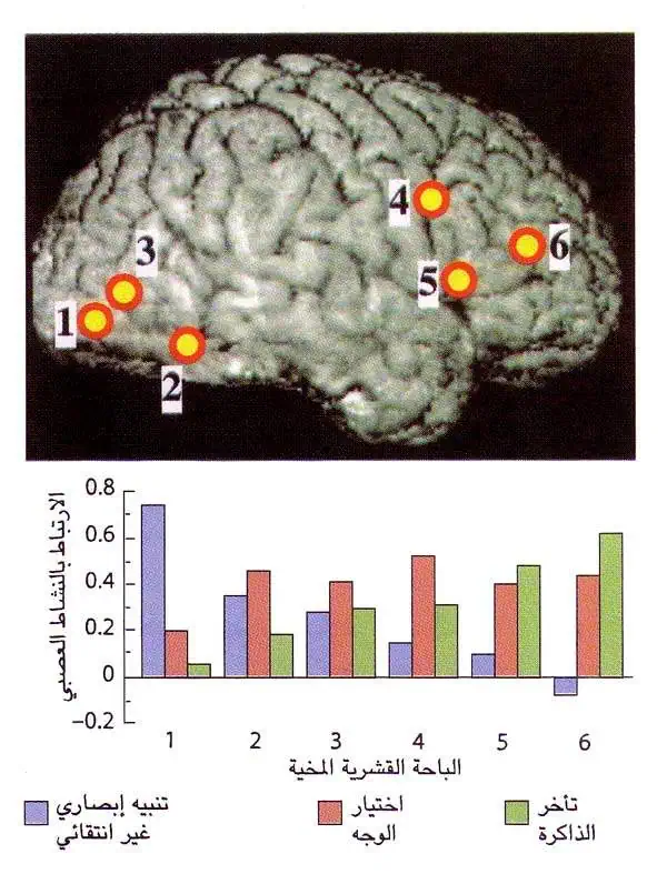 http://oloommagazine.com/images/Articles/14/SCI98b14N5_H02_007850.jpg