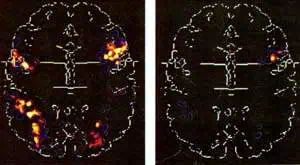 http://oloommagazine.com/images/Articles/14/SCI98b14N5_H02_007851.jpg
