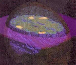 http://oloommagazine.com/images/Articles/14/SCI98b14N5_H02_007852.jpg