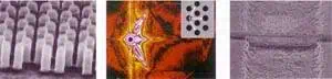 http://oloommagazine.com/images/Articles/14/SCI98b14N11_H05_007497.jpg