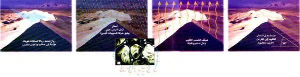 http://oloommagazine.com/images/Articles/14/SCI98b14N3_H05_007665.jpg
