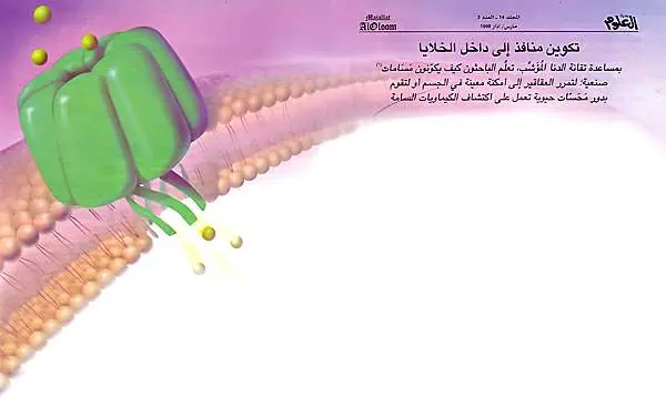 http://oloommagazine.com/images/Articles/14/SCI98b14N3_H02_007641.jpg