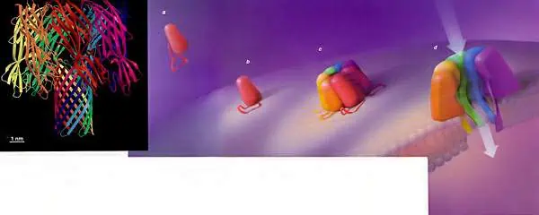 http://oloommagazine.com/images/Articles/14/SCI98b14N3_H02_007642.jpg