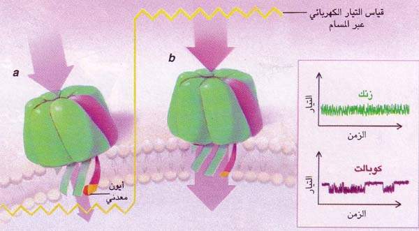 http://oloommagazine.com/images/Articles/14/SCI98b14N3_H02_007646.jpg