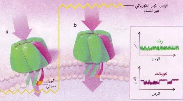 http://oloommagazine.com/images/Articles/14/SCI98b14N3_H02_007646.jpg