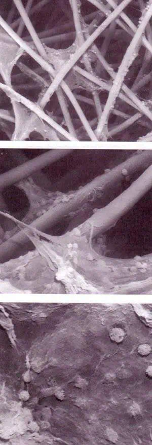 http://oloommagazine.com/images/Articles/14/SCI98b14N5_H03_007854.jpg