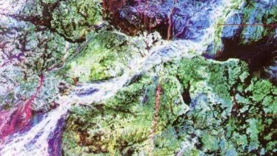 http://oloommagazine.com/images/Articles/14/SCI98b14N3_H01_007634.jpg
