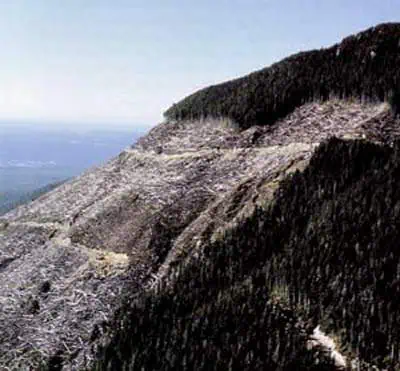 http://oloommagazine.com/images/Articles/15/SCI99b15N5_H02_008812.jpg